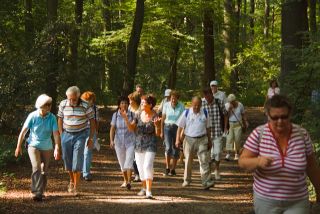 ELF wandert 2011.jpg